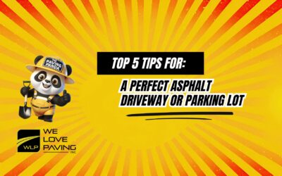 TOP 5 Tips for A Perfect Asphalt Driveway Or Parking Lot