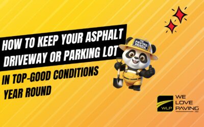 How to Keep Your Asphalt Driveway or Parking Lot in Top Condition Year-Round